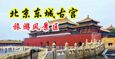 国产超薄肉丝喷水白桨中国北京-东城古宫旅游风景区